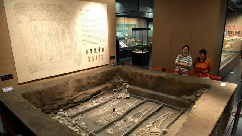 山东滕州:288件(套)实物资料展现“一眼万年”