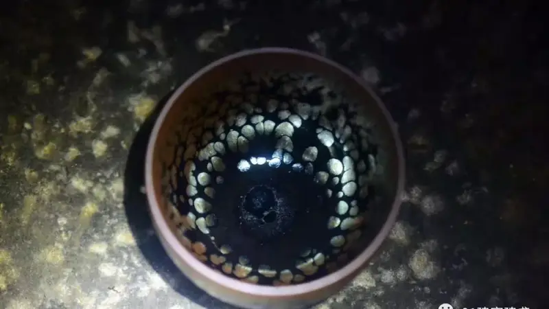 喝茶吧，稳赚不赔！