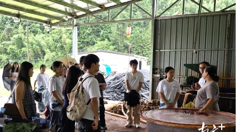 零距离触摸本土匠心,连山福堂青年研学非遗赋能乡村发展
