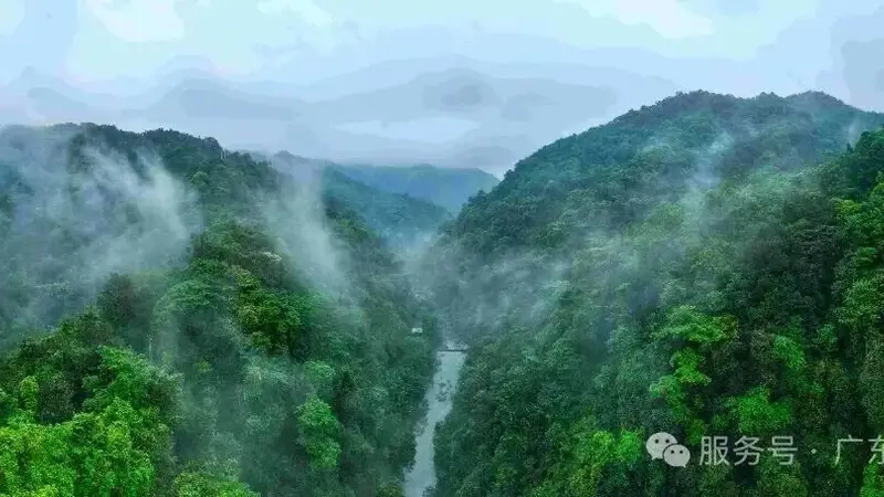天井山避暑指南来啦~走进22℃的夏天