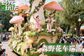 成都玛雅寰宇文化——专业景区演艺定制公司究竟有何独特魅力？