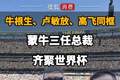 【牛根生、卢敏放、高飞同框！蒙牛三任总裁齐聚世界杯】
