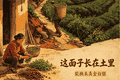 大满关雪四兄弟 关面最有“面”