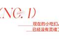 “快餐界的爱马仕”，早就死过一次了