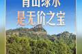 习言道｜走进茶园，习近平强调做好这篇“大文章”