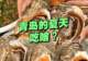 夏天青岛人都吃啥?这几种必吃美食,地道又解暑,幸福感拉满