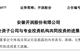 DeepSeek估值,被一家安徽箱包公司给全部暴露了