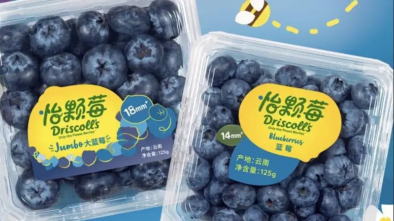 怡颗莓发严正声明：已启动依法维权，此前被指检出致癌物