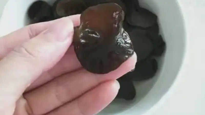 12条食材清洗泡发大全:木耳、蘑菇、海蜇、鱿鱼、海带全覆盖,厨房小白必备
