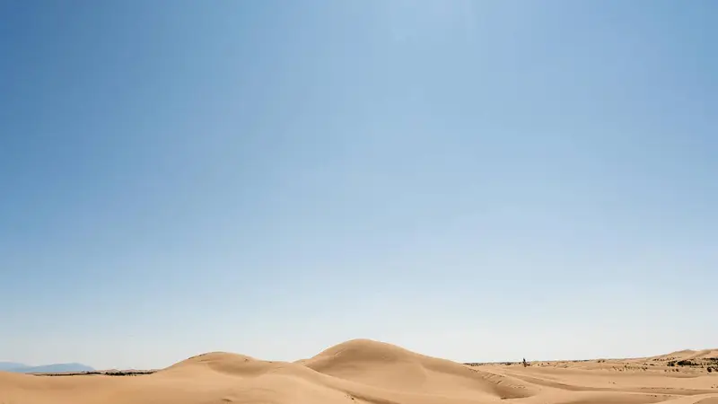 呼和浩特定制游能不能设计一条以美食为主线的行程?想专门吃。