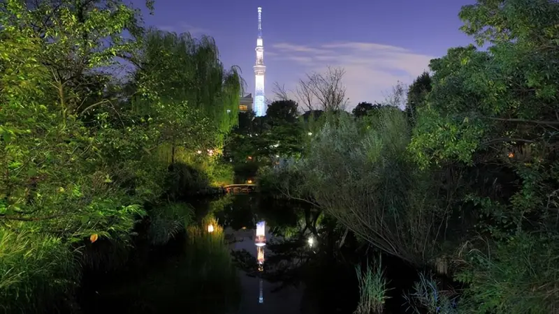 都市避暑去哪里 遥指向岛百花园