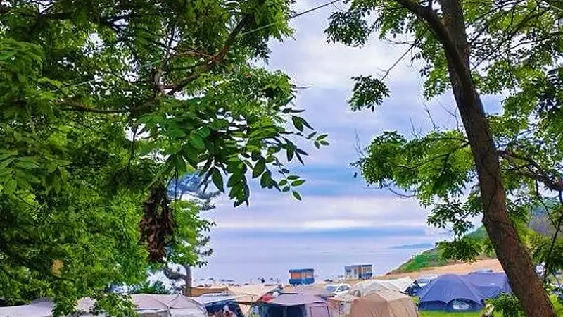 央视都来打卡！大连的夏天 亲眼所见比镜头更动人