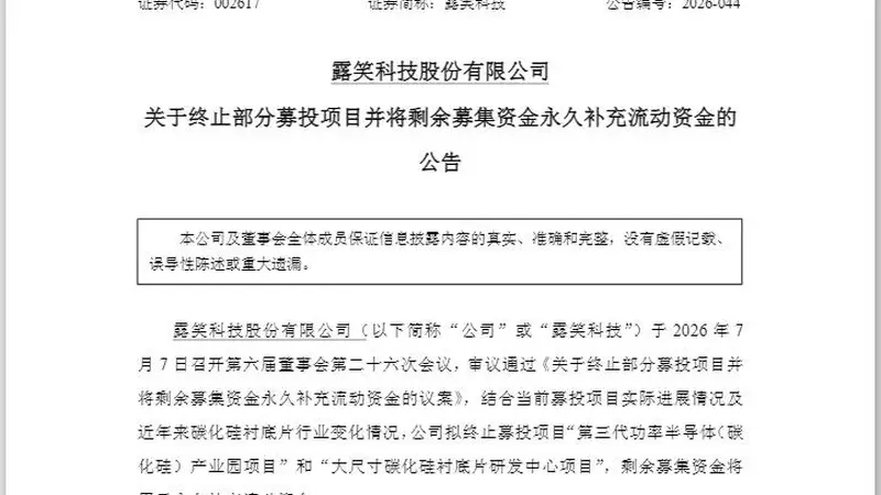 直线涨停后“炸板”!002617盘后宣布:终止募投项目,全部“补流”