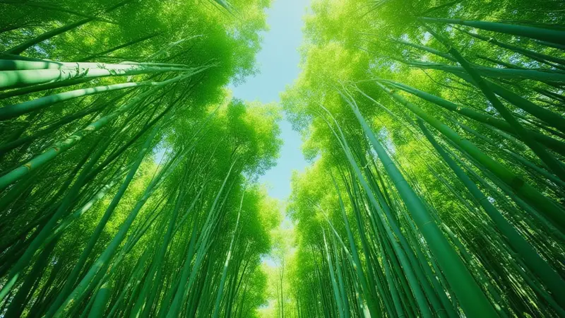 老舍:避 暑