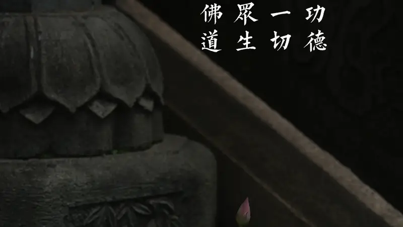 关于西湖景区佛教寺院恢复开放的通告