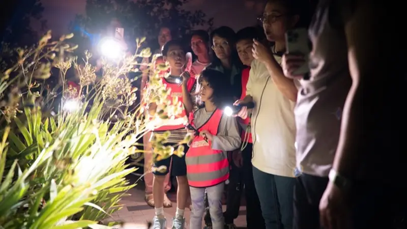 上海夏季音乐节|探秘夏夜植物园,聆听大自然的交响