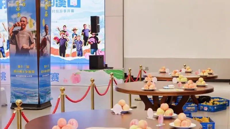一颗水蜜桃 如何解锁浙江乡村旅游长红流量密码?