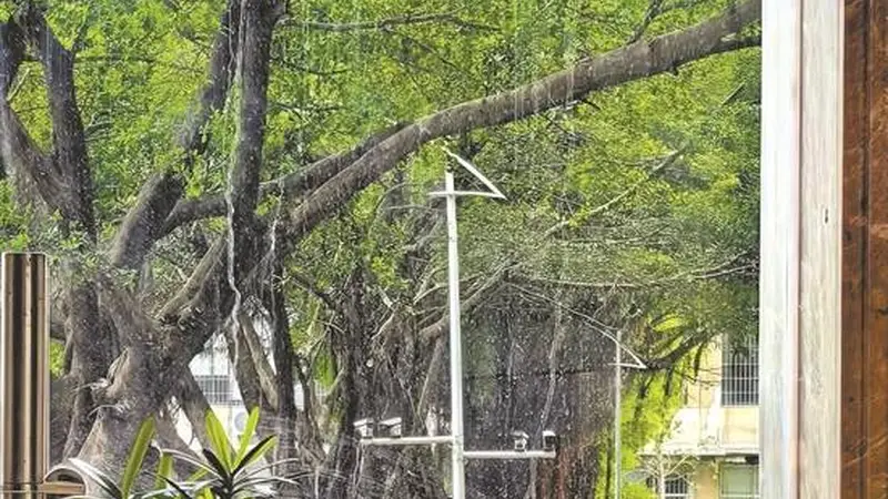 夏困