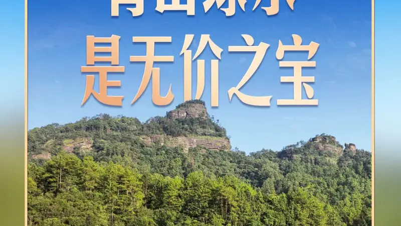 习言道｜走进茶园，习近平强调做好这篇“大文章”