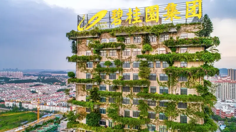 碧桂园,痛失了400亿