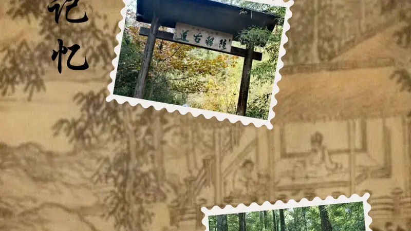 交通记忆丨茶禅千年的山行印记