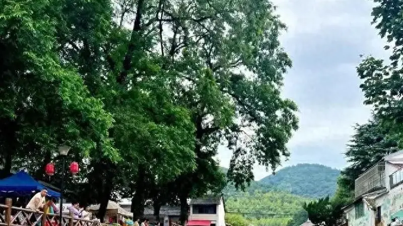 宜宾人避暑大反转!往年挤爆瓦屋山,今年扎堆家门口溯溪!