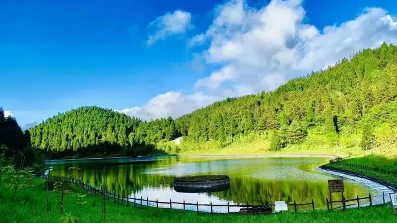 暑期出行，来“森林氧吧”赴一场清凉之约