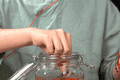 第一次在家泡酒的别懵，家里泡酒一般买什么白酒？