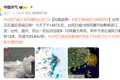 台风“巴威”10级风圈上岸，今夜至明晨影响最猛，福建一地实行“三停一休”，部分列车停运，厦门机场取消航班61架次