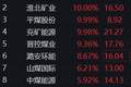 板块异动 | 煤炭板块大幅上涨 昊华能源等多股涨停