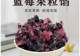 选择烘焙专用蓝莓果肉馅需要注意哪些方面