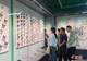 昆明推出“探秘昆虫王国”展 科普生态知识