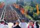 2026阿坝州汶川大禹文化旅游季启幕