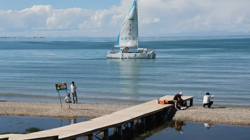 青海湖夏景秀美引客来