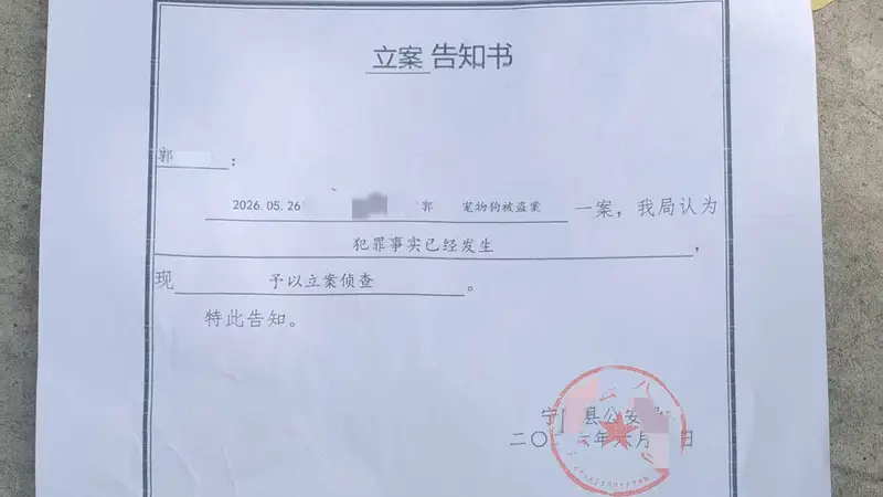 网红边牧被盗宰杀案件移送审查起诉 犬主人:还将提起民事诉讼