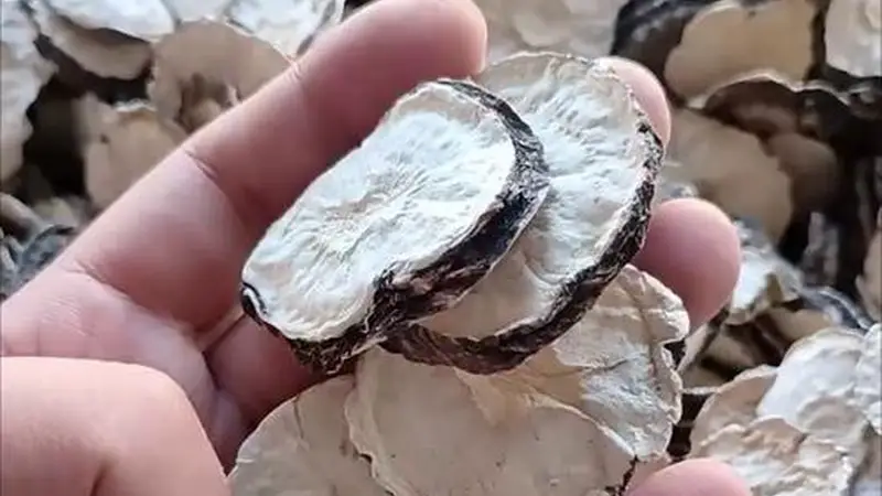 泡玛卡酒想更滋补有效?得先弄清玛卡泡酒的比例是多少