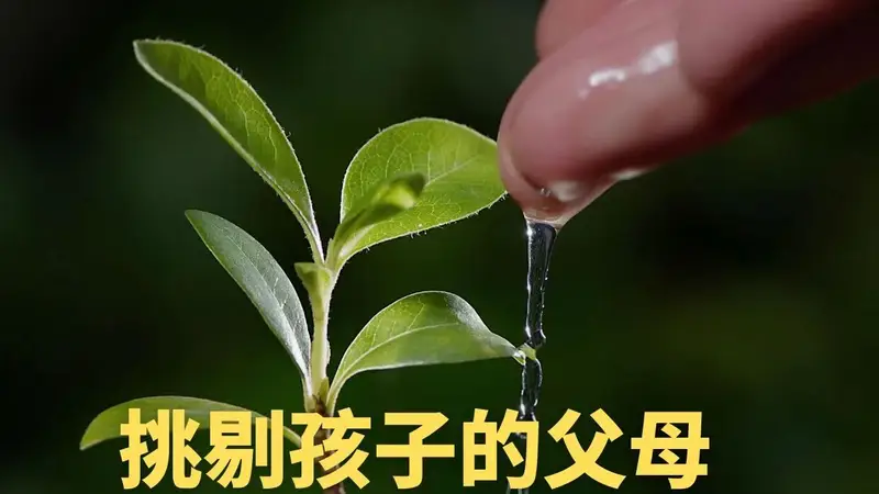 挑剔孩子的父母,需要培育自己的爱