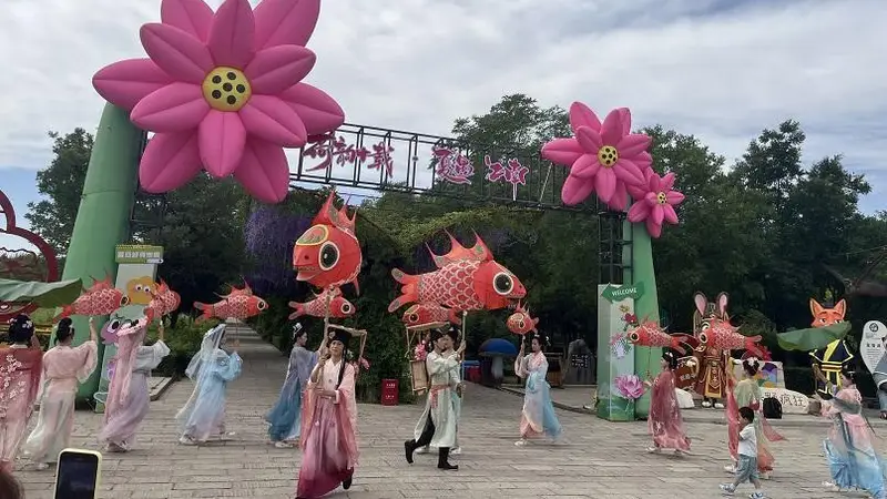赏荷、泛舟、逛市集 鸣翠湖荷花节解锁国风避暑新玩法