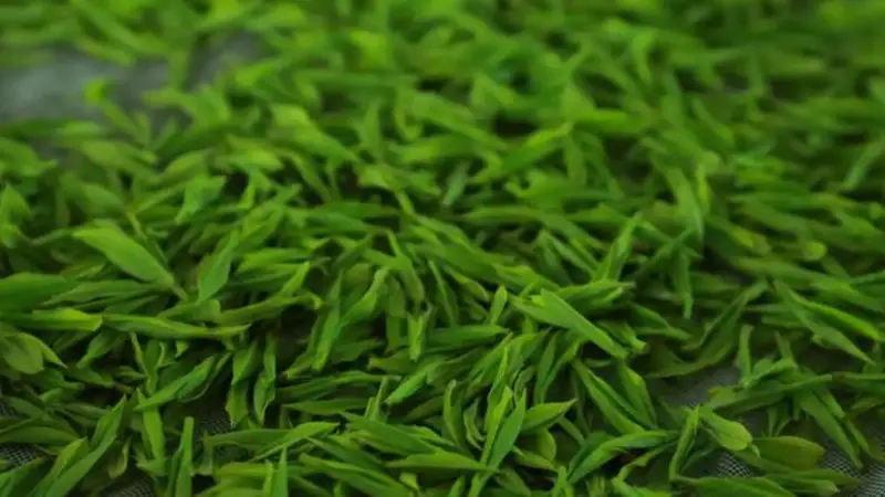 家里放了几年的红茶、绿茶、普洱茶,还能泡来喝吗?告诉你答案