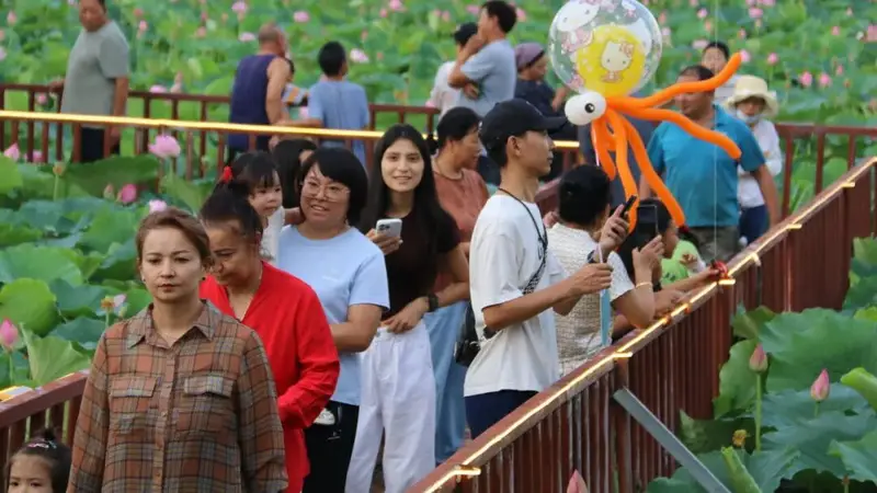 荷花开了！博乐这场夏日限定又来了→