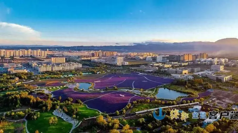 盛花期已至~金昌市紫金苑景区迎来年度最佳赏花期