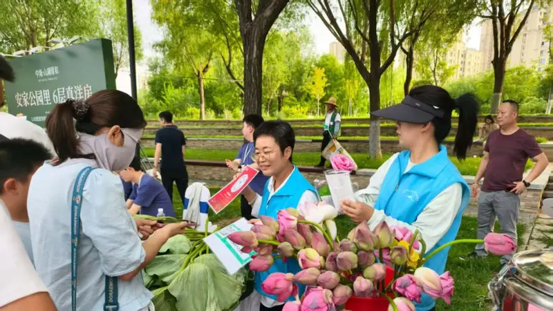 行摄华山——荷花节荷灯祈福