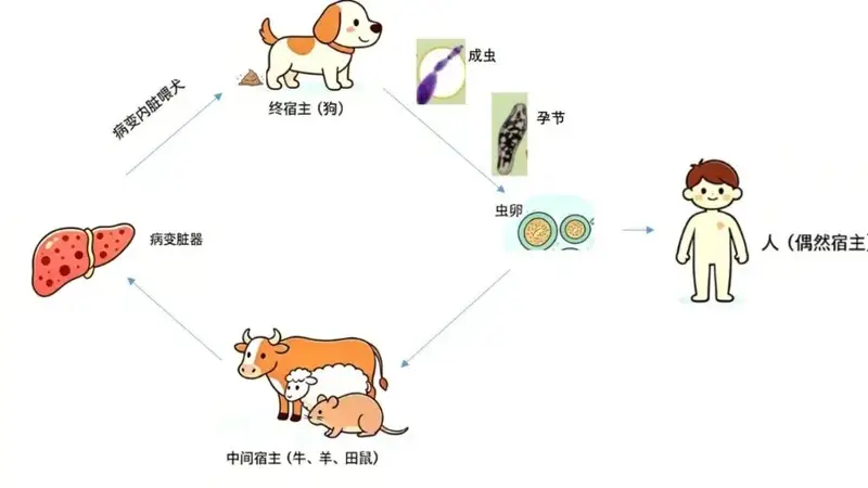 夏季去牧区旅游,要预防这种病→