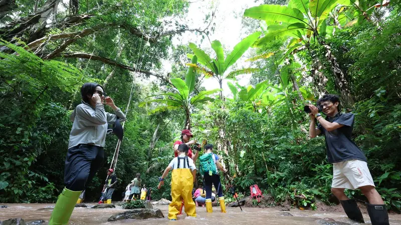云南景洪:基诺山村开辟“雨林徒步游”促增收