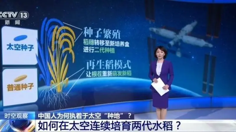 从蔬菜到水稻，中国人为何执着于太空“种地”？