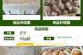 这口清甜，是丹东盐碱地藏着的老味道，吃一口就回不去了