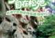 不必赶路,自在松弛!从泰宁出发,读懂福建“慢旅行”