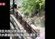云南虎跳峡景区强降雨致房屋倒塌,山洪沿着步道流下,景区已暂停营业