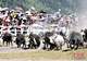 2026四川甘孜山地文化旅游节在道孚县启幕