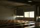 追踪2.7万名学生30个月，港大研究发现：AI最先「重创」的竟是尖子生…